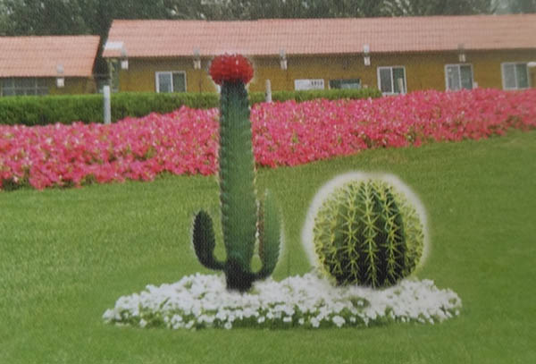 ��������������